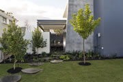 Tim Davies Landscaping