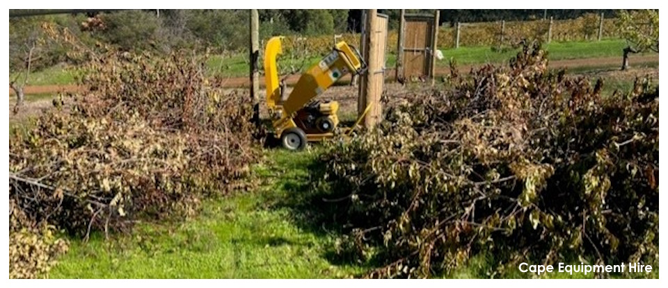Cape Equipment Hire