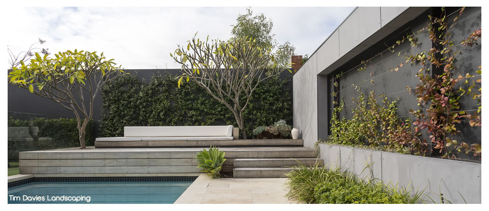 Tim Davies Landscaping