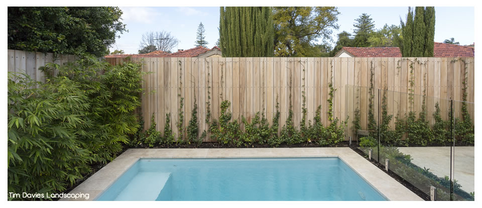 Tim Davies Landscaping