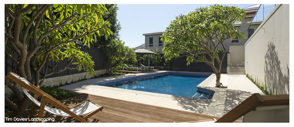 Tim Davies Landscaping