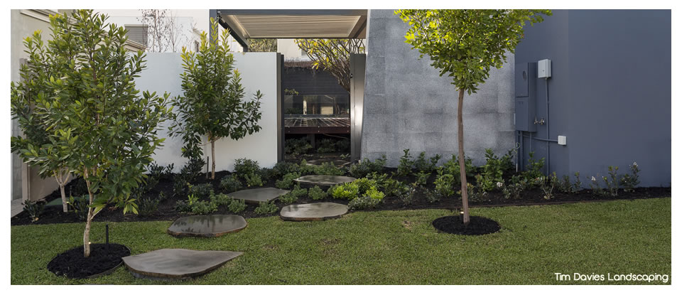 Tim Davies Landscaping