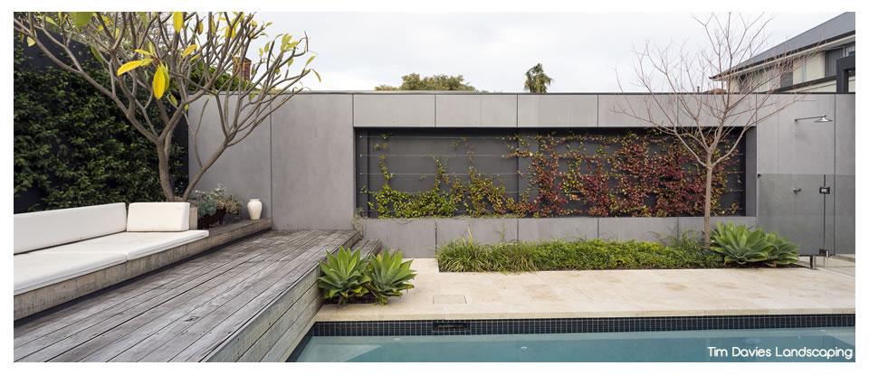 Tim Davies Landscaping